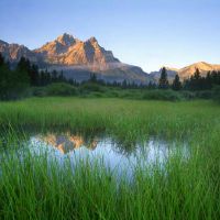 十分专一值得深爱的四大星座