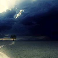 十二星座中哪些星座心地善良总喜欢助人为乐