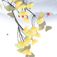 为什么明星都爱买18楼 十八楼远离地面避免声煞产生