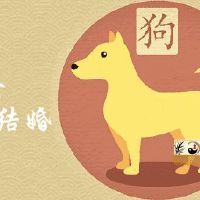 94年属狗女什么时候有婚缘会结婚