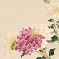 98虎年今年的运势怎么样 生肖虎端正态度有机遇