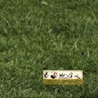 1982年属狗40岁如何