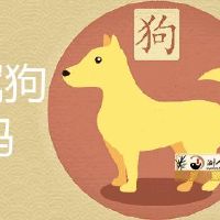 1982年属狗会离异吗