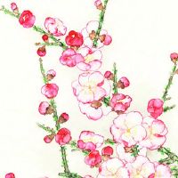 自己转运最灵的方法 叶大且厚的绿植招财效果好