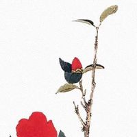 1992年属猴最佳结婚年龄 职场顺利感情或晚婚