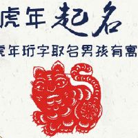 虎年珩字取名男孩有寓意
