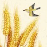 请问838的车牌值钱吗 吉利车牌号码的特色说明