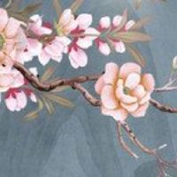 8开头的车牌代表什么 好事成双的双喜车牌号码