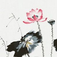 34层楼买房选什么楼层最好 家有老人宜选中低层楼房