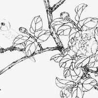 98年属虎男事业运好不好 事业开运秘籍