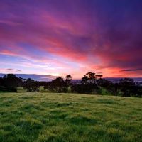 哪些星座总喜欢与人讲道理自以为感动天地