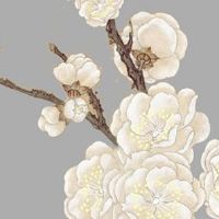 98虎年本命年女性佩戴什么好 属虎女戴水晶财源滚滚