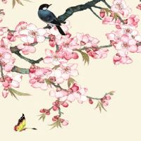 本命年留刘海挡财运吗 而立之年有刘海转运消灾