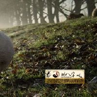 1979属羊运程在2022年有劫难吗