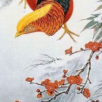 结婚上下车礼钱很重要吗 结婚上礼给小礼品有些什么