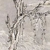 1968年属猴人一生命运完整版 财运事业走势佳