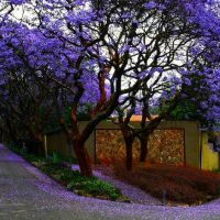 行事圆滑很会察言观色的星座都有哪些