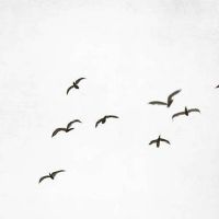 2022年9月16日时辰宜忌分析 这天日子好不好?