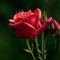 头脑聪明内心敏感的星座排行前三名