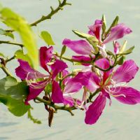 十二星座中的哪五个星座内心有着与外表完全不同