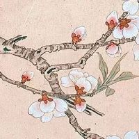 女命禄存星入夫妻宫 夫妻宫有禄存不宜早婚