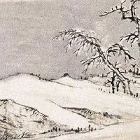 属猪2022年感情和桃花运 属猪之人的桃花运