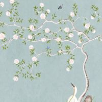 98年属虎的本命年戴什么最好 带琥珀石身体健康