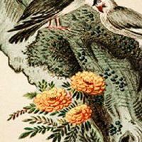 车牌号测的不好怎么破解 车牌号化解方法