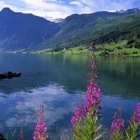 天上火命男和石榴木命女结婚会好吗