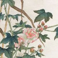 夫妻宫天同天梁看配偶 夫妻宫化权化禄命主异性缘佳