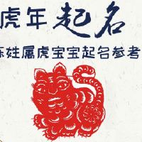 陈姓属虎宝宝起名参考