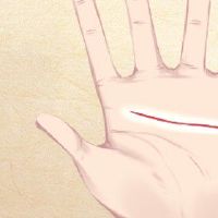 婚姻线分叉与智慧线相连 一心事业发展中心