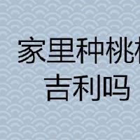 家里种桃树吉利吗？
