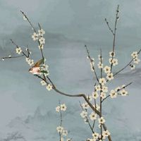 虎年本命年戴什么生肖 生肖狗让属虎人家庭和睦