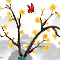 最佳风水房屋设计图 南北通透的房子客厅风水好