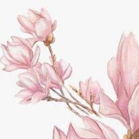 结婚送客人纪念小礼品 纪念卡极具意义有新意