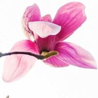 结婚陪嫁箱里面装什么 女方压箱钱是不是彩礼钱