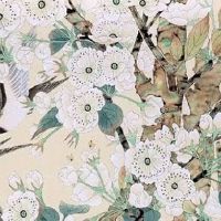 2022年9月23日出生属虎女宝宝是什么命 婚姻幸福 事业顺利