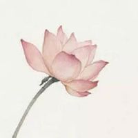 太阴星在夫妻宫落陷 太阴星坐命宫逢庙旺