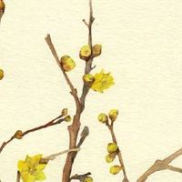 天机夫妻宫最坏的结果 天机星坐夫妻宫亲情运势