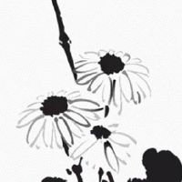 天机星在夫妻宫化权 当天机星坐丑未宫时运势