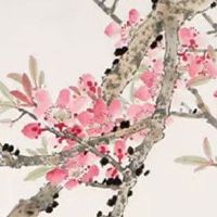 2022年属猴女的运势和财运指数 各上涨明显