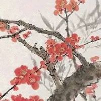 1980年属猴女未来10年运势 储蓄存款可上涨