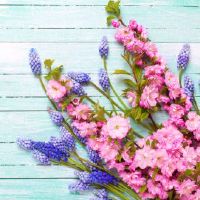 沙中土命女和平地木男彼此是合适的婚配对象吗