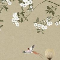 车牌尾数是6代表什么 平安好财运的车牌号码