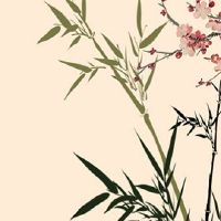 本命年开什么颜色的车最好 白色的车让本命年人平安顺遂