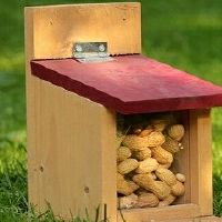 属鼠的6合贵人相助