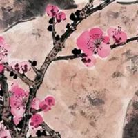 92年属猴一生三大劫2022 三大坎坷小心化解