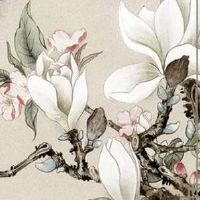 1998年属虎运势及运程 太岁拉低整体运势