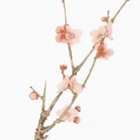 1988年属龙人在2022年下半年运势好吗